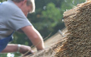 professional Rainton thatchers